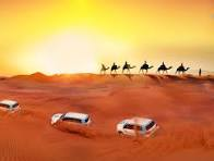 Evening Desert Safari Dubai