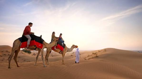 best Evening Desert Safari Dubai Deals
